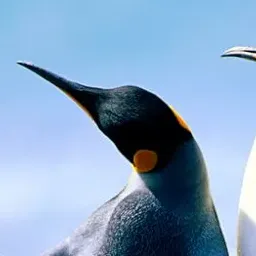 qqqqqqqqqq | wwwwwwwwwwww